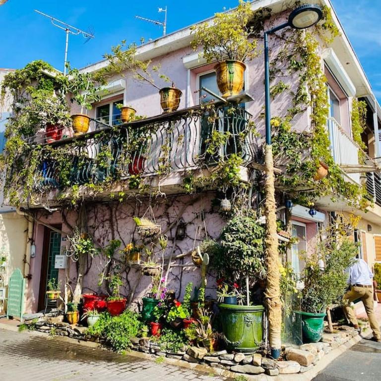 "Le Jardin" Superbe T2 Parking, Clim & terrasse ! - Appartement 1 Chambre - 27