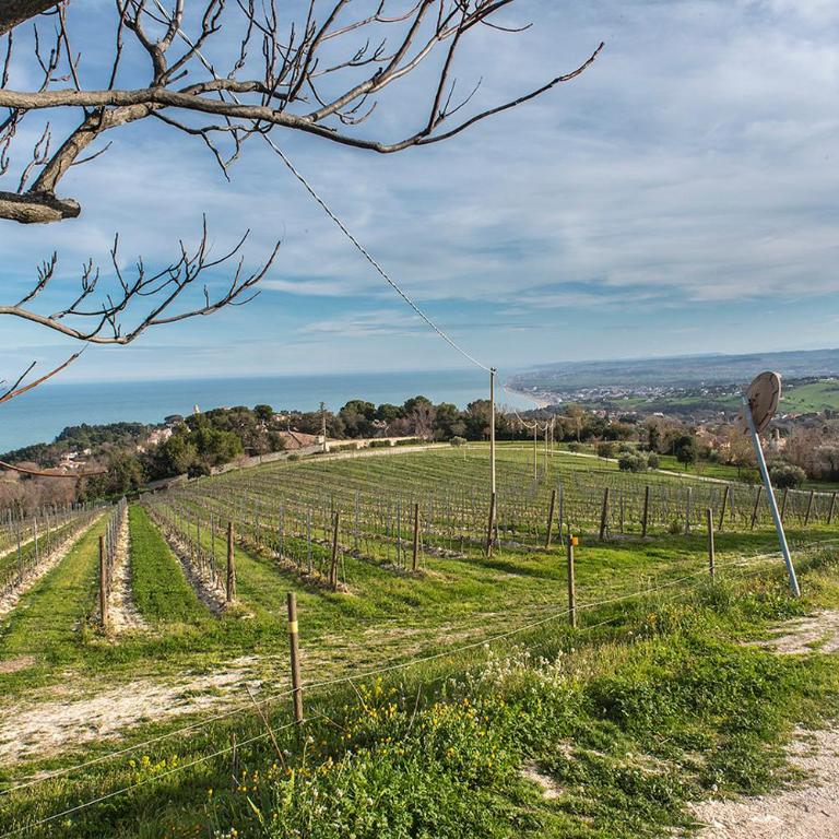 S294 - Sirolo, meraviglioso trilocale con terrazzo e vista mare - Appartamento con 2 Camere da Letto - 27