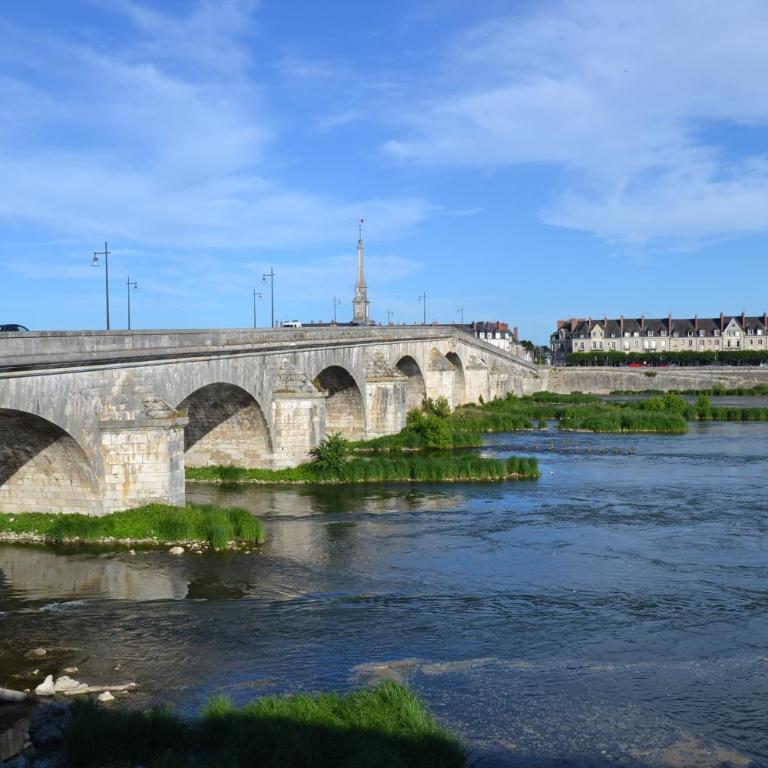 Entre Loire & Château - Vue exceptionnelle à Blois - Appartamento Standard - 3