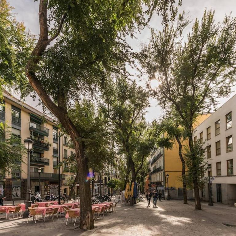 Luminoso Apartamento en Lavapiés-Tirso de Molina - Apartamento de 1 dormitorio - 20