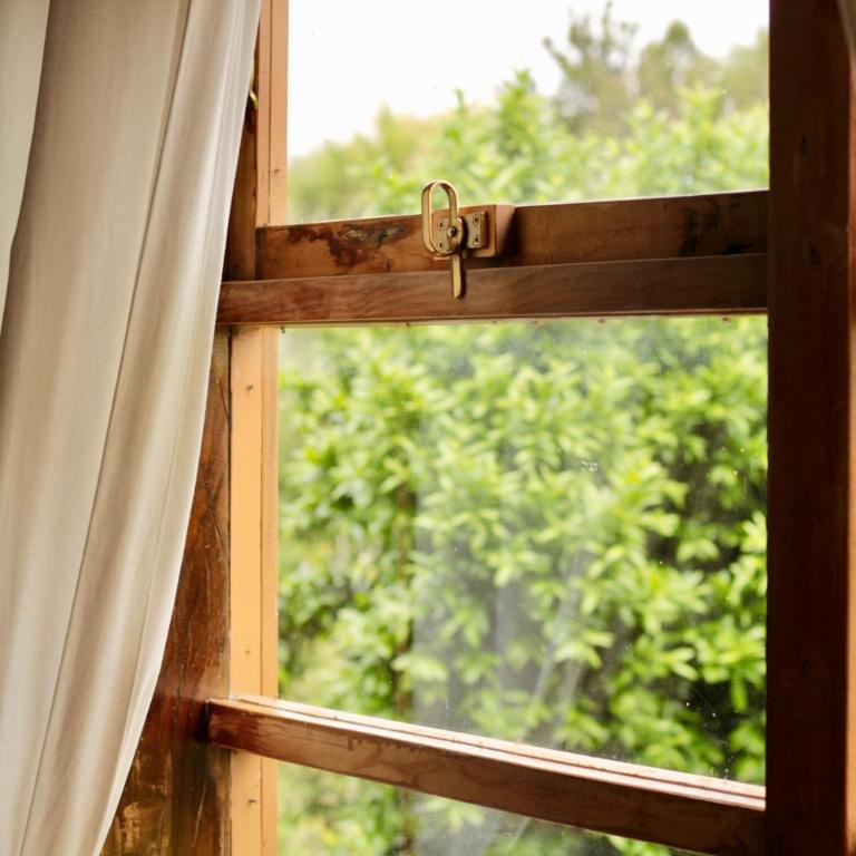 Hotel Boutique Casa Werner - Habitación Doble con vistas al humedal - 1 o 2 camas - 1