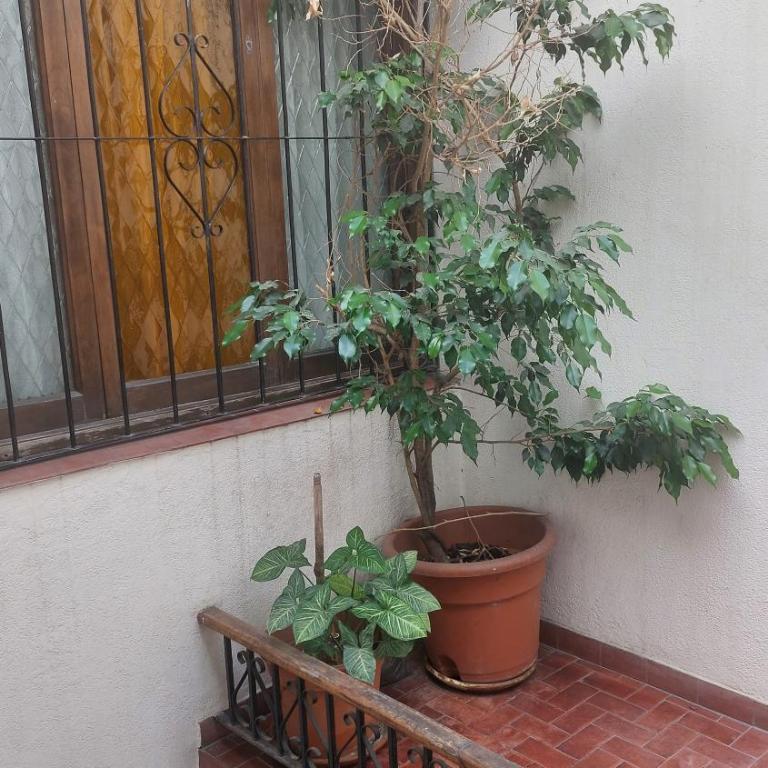 Departamento 226 - Apartamento de 2 dormitorios - 4