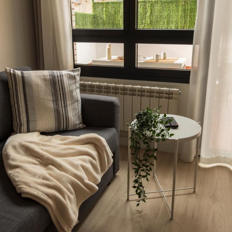 LA TERRAZA DE LA VEGA - Ubicación inmejorable , wifi , terraza y parking gratuito - Apartamento de 1 dormitorio - 9