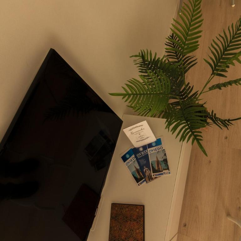 LA TERRAZA DE LA VEGA - Ubicación inmejorable , wifi , terraza y parking gratuito - Apartamento de 1 dormitorio - 12