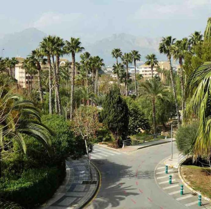 Lovely 2 bedroom apartment 2nd line to beach - Two-Bedroom Apartment - 14