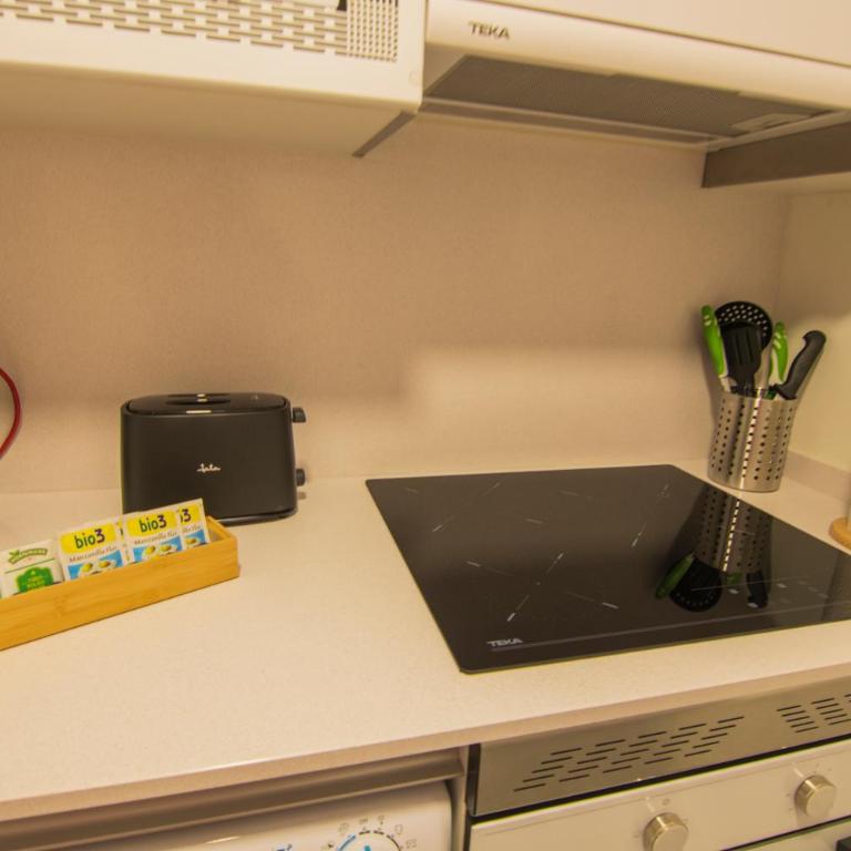 LA TERRAZA DE LA VEGA - Ubicación inmejorable , wifi , terraza y parking gratuito - Apartamento de 1 dormitorio - 33