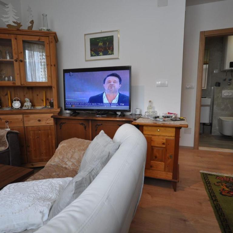 Vila Jahor,Apartman 14 -Obucina Bare 22 - Apartman sa 1 Spavaćom Sobom - 17