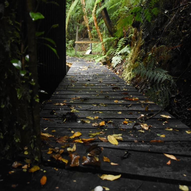 Casa Puente de Chiloé - Casa de 5 dormitorios - 49