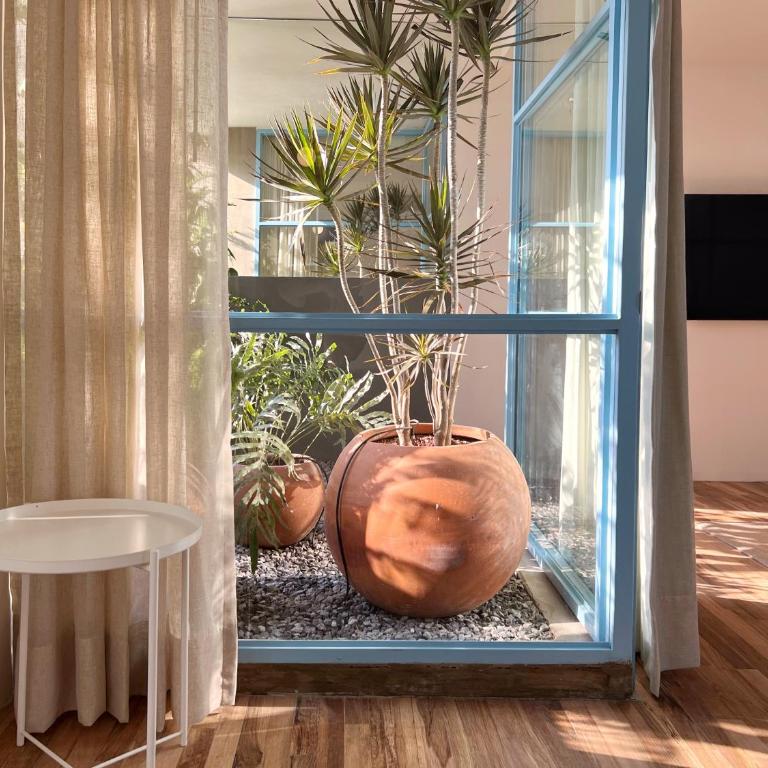 Xolo stays - Apartamento de 1 Dormitorio con balcón y vistas a la ciudad - 2