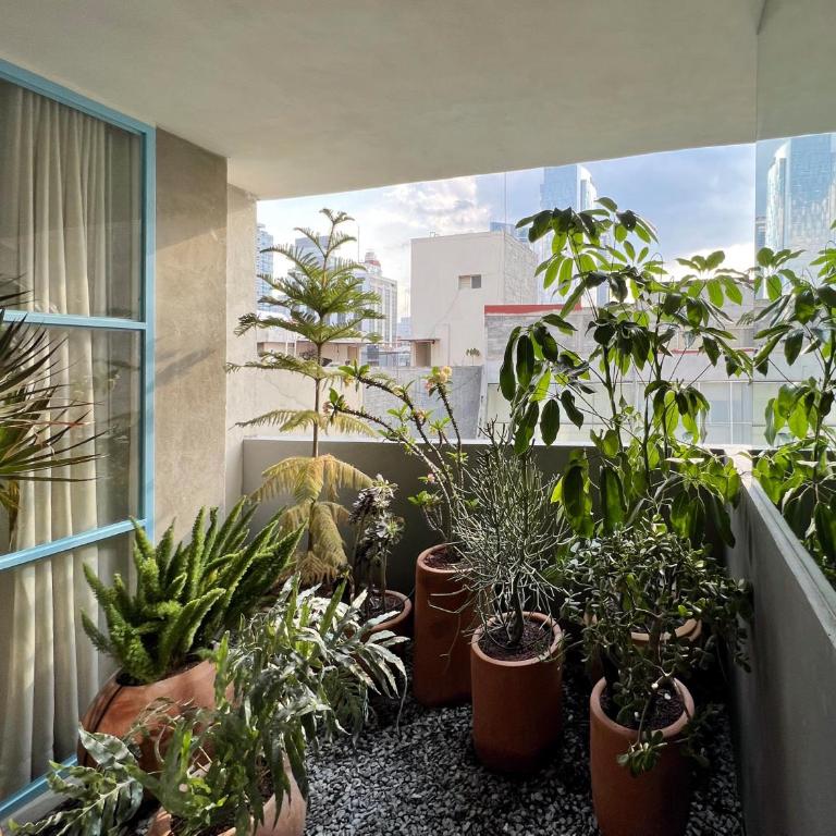 Xolo stays - Apartamento de 1 Dormitorio con balcón y vistas a la ciudad - 3