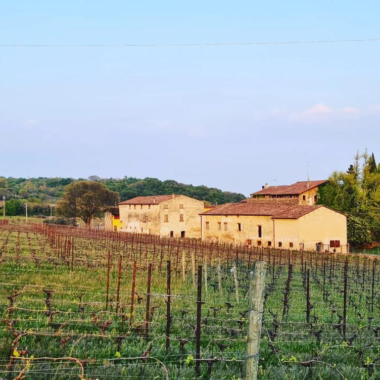 Casaflora_corteventurelli31 - Appartamento con 1 Camera da Letto - 35
