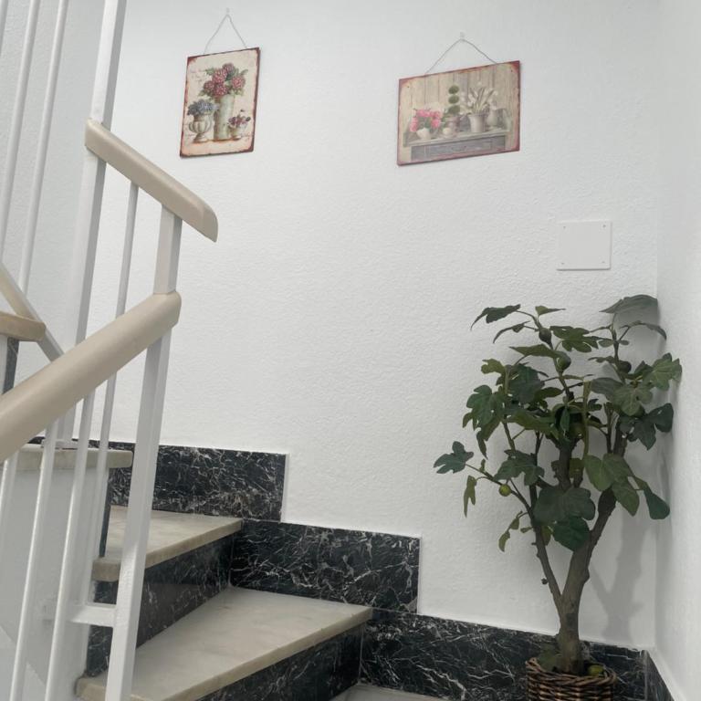 Apartamento Plumaria - Apartamento de 1 dormitorio - 39