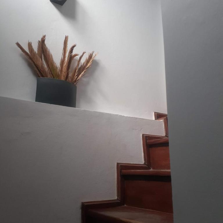 Casa Alem, amplia y confortable. - Casa de 3 dormitorios - 14