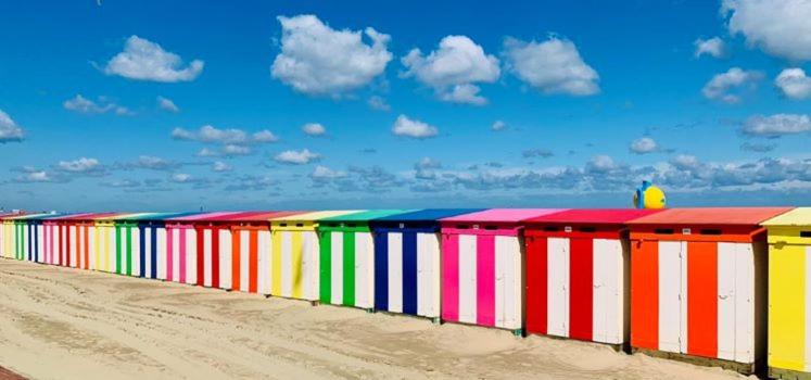 L'Effet-Mer - Appartement 2 Chambres - 21