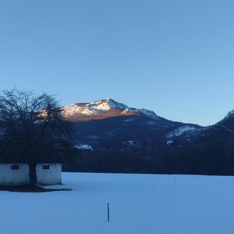 Drijenak Nature Escape - Two-Bedroom House - 24