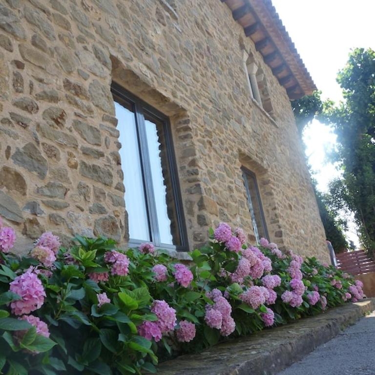 Mas Terra i Mar - Villa - 17