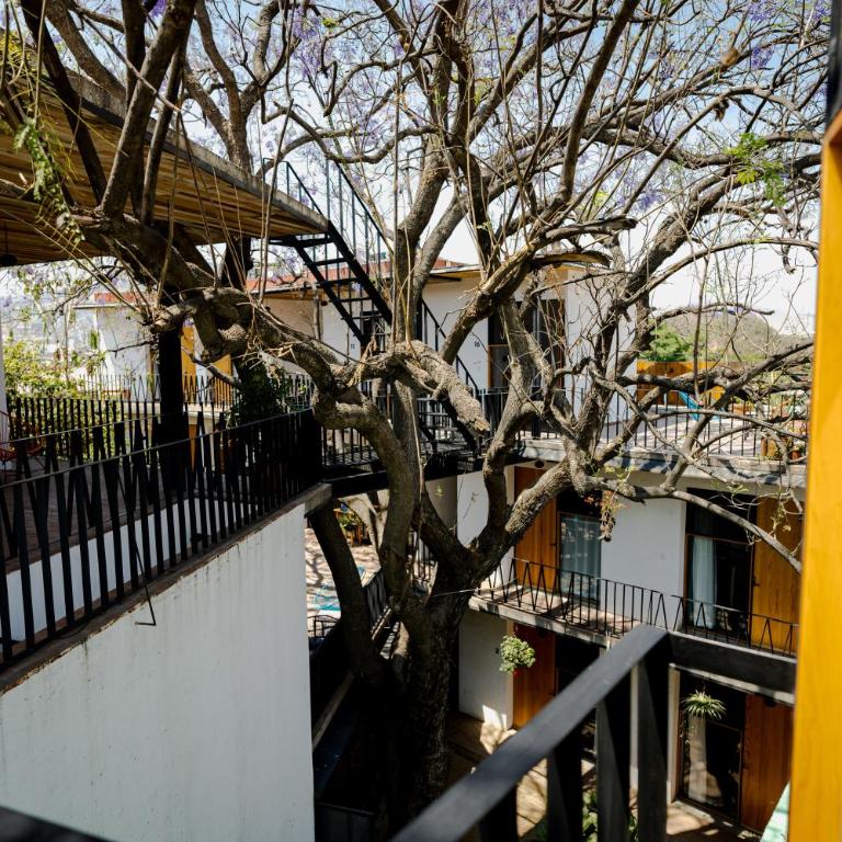 Hotel con Corazón Oaxaca - Single Round Room - 6