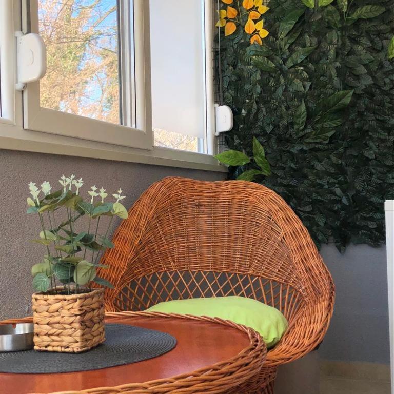 Apartman Radmanovac 2 - Studio Apartman - 14