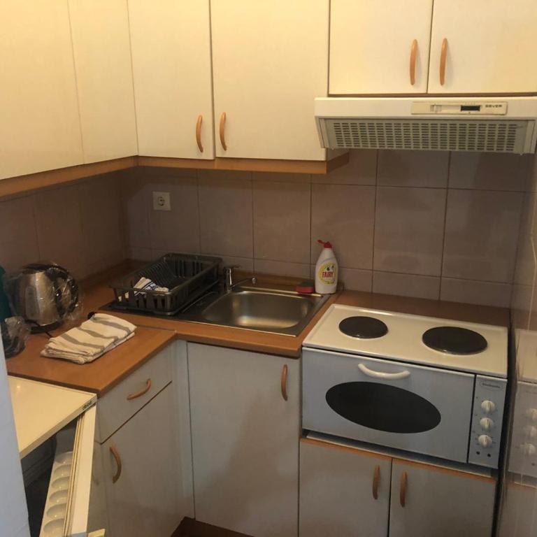 Koviljača park - Apartman sa 1 Spavaćom Sobom - 4