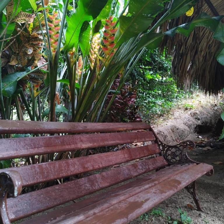 ECOCABAÑAS DIOSA JAGUAR tayrona - Cabaña de 1 dormitorio - 3