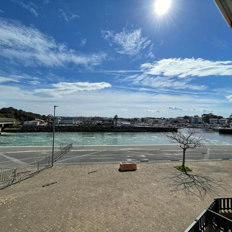 Appartement proche plage avec piscine, parking et animaux admis - FR-1-413-215 - Apartment - 3