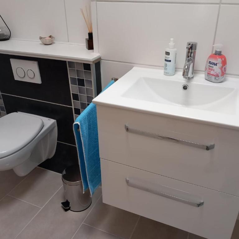 Landhaus Rißbachtal - Apartment mit 1 Schlafzimmer - 19