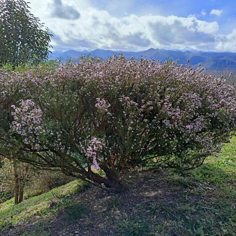 La Casa de Nuria - Casa - 26
