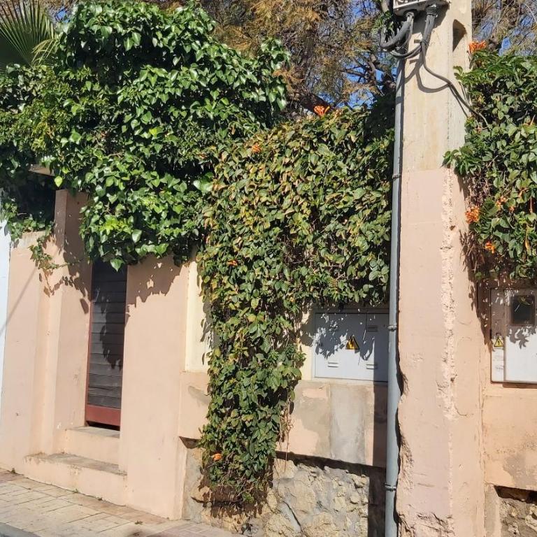 Del Parque Flats Pina Beach - Apartamento de 1 dormitorio - 29