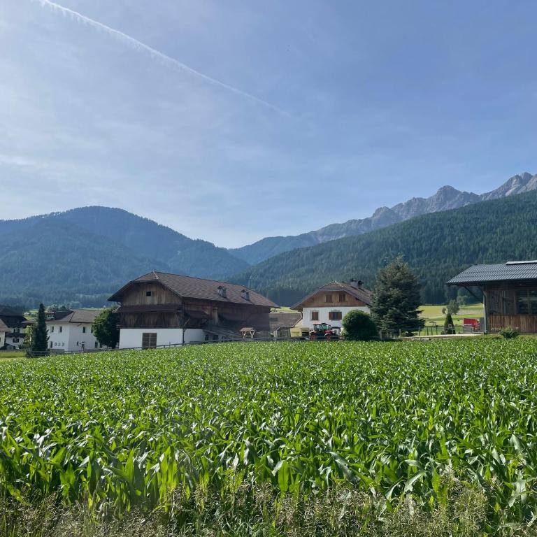 Casa dei sogni - Haus mit 1 Schlafzimmer - 10