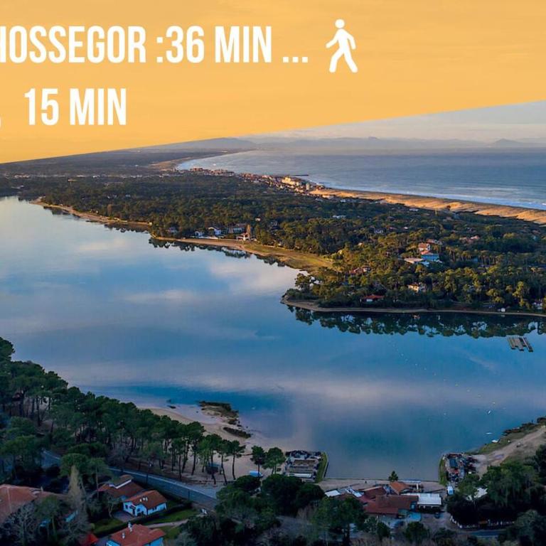 Hossegor - Lumineux - Plage 100m - Surf - Lac - Appartamento con 2 Camere da Letto e Balcone - 27