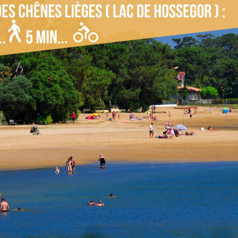 Hossegor - Lumineux - Plage 100m - Surf - Lac - Appartamento con 2 Camere da Letto e Balcone - 28