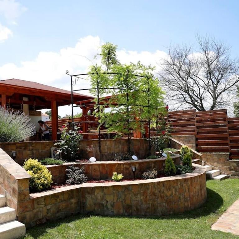 Vila Ruža Vetra - Villa - 2