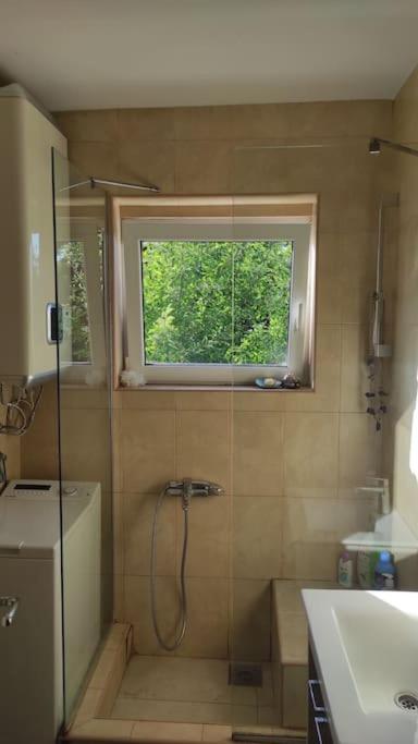 Vila Ruža Vetra - Villa - 12