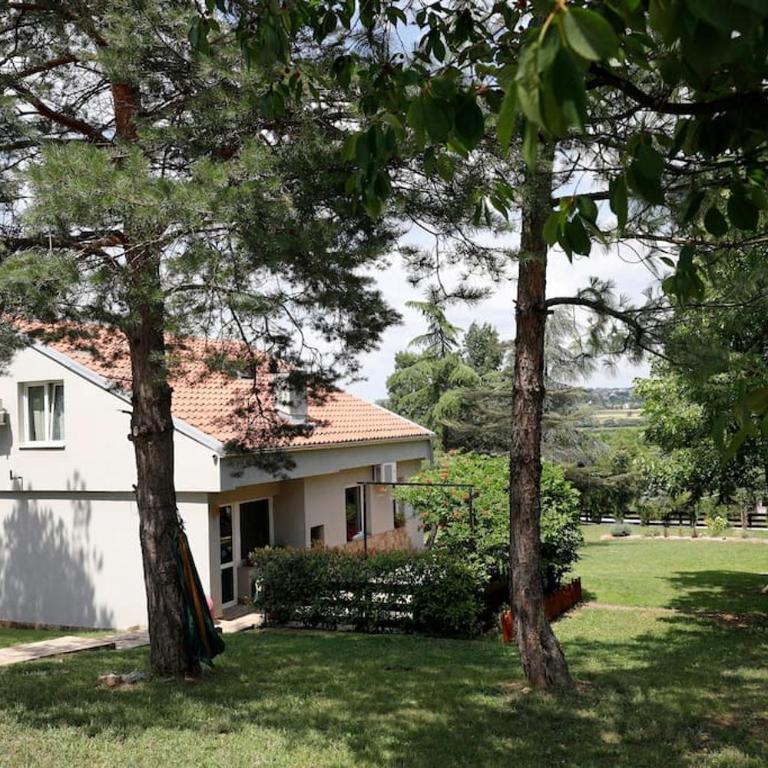 Vila Ruža Vetra - Villa - 38
