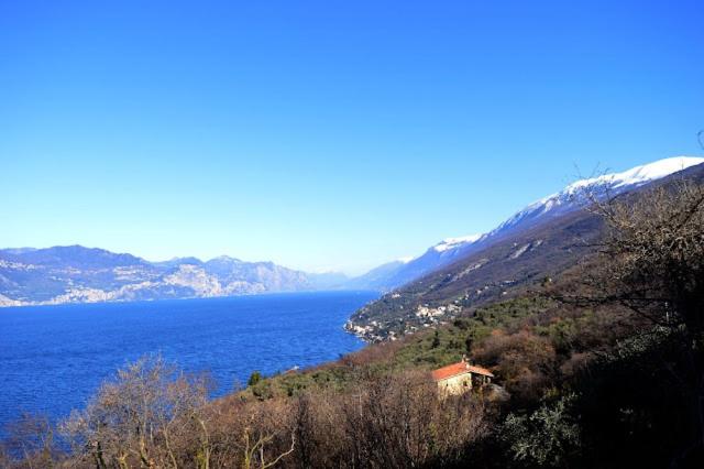 VILLA MERY - Apartment with Terrace - 10