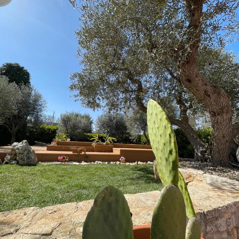 Villa Dama - Casa Vacanze - 22