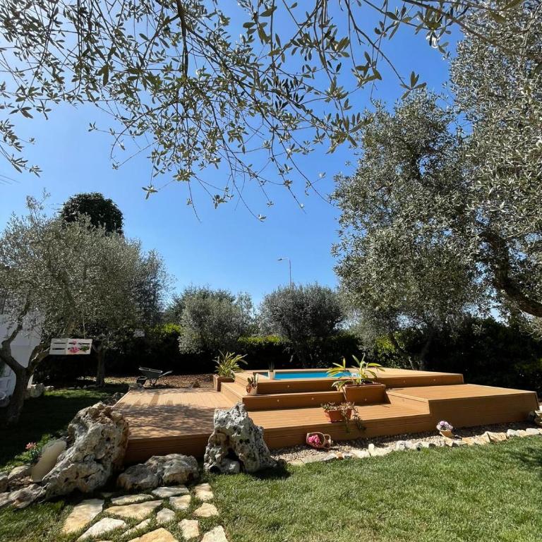 Villa Dama - Casa Vacanze - 16