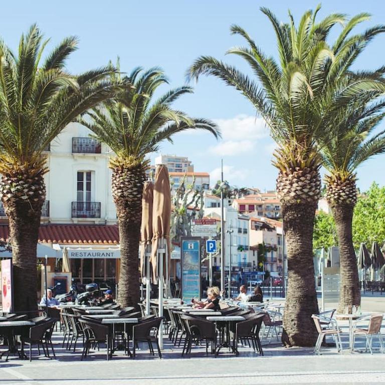 Regina's Banyuls - Mountain view - Appartement 1 Chambre - 12