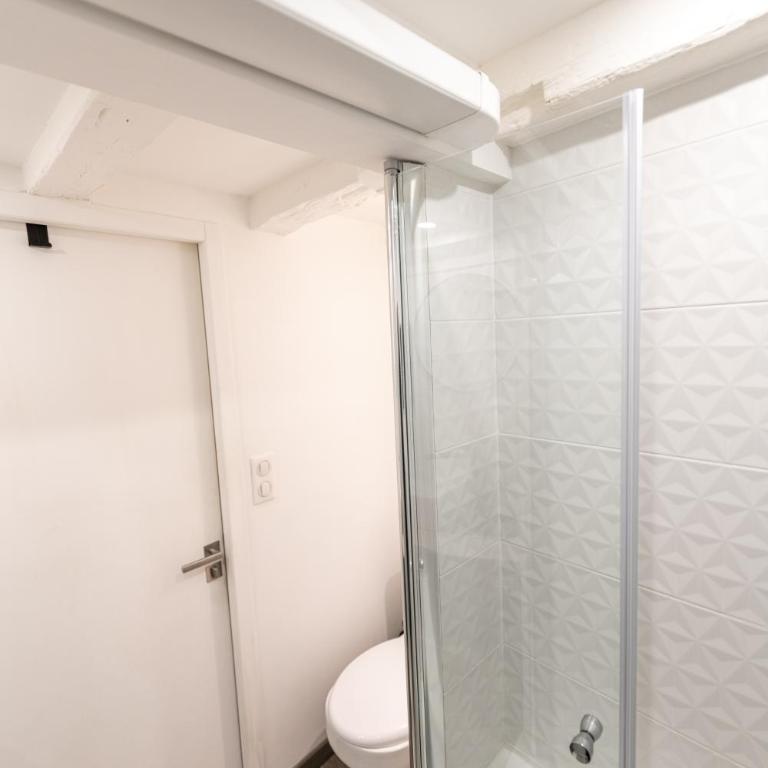 CONFORTABLE 2 PIÈCES AU CŒUR DU CENTRE HISTORIQUE - Apartment mit 1 Schlafzimmer - 14