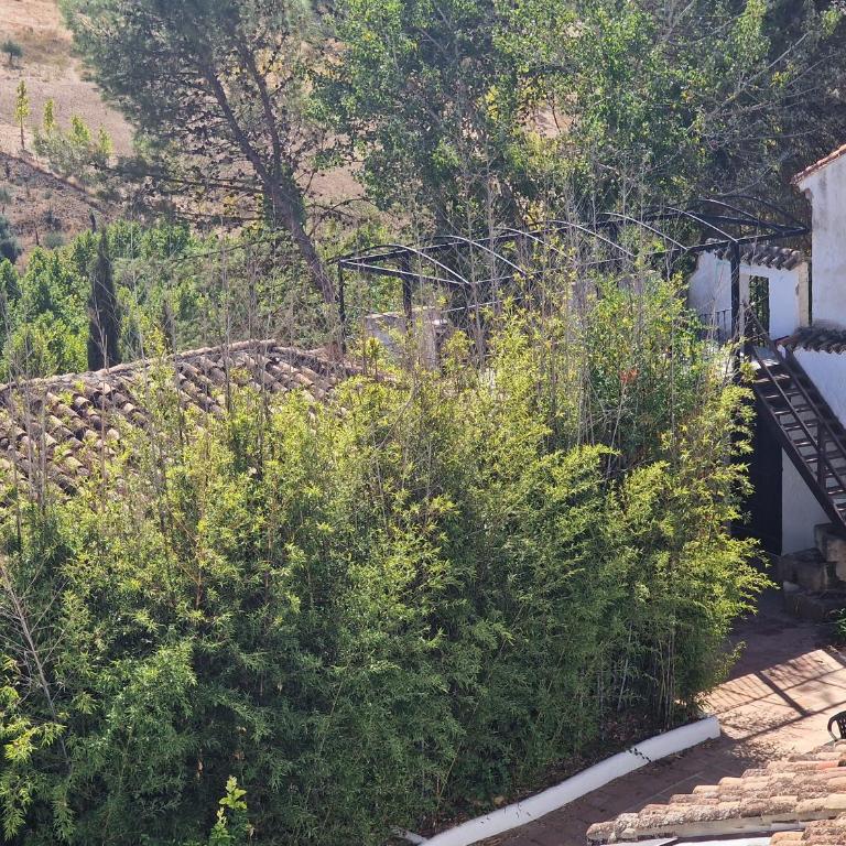 Canaan Boutique Hotel Ronda - Suite - 2
