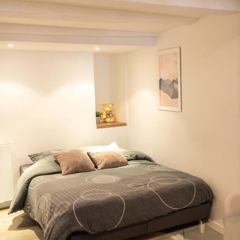 CONFORTABLE 2 PIÈCES AU CŒUR DU CENTRE HISTORIQUE - Apartment mit 1 Schlafzimmer - 6