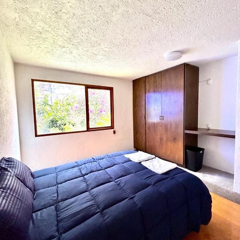 Casa Frida Coyoacan - Habitación Doble con baño compartido - 3