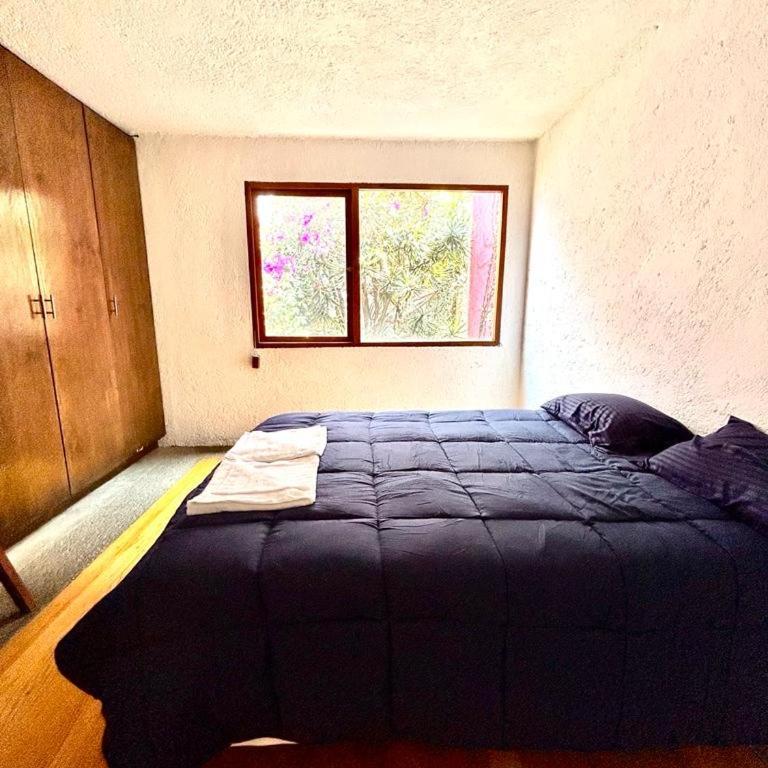 Casa Frida Coyoacan - Habitación Doble con baño compartido - 2