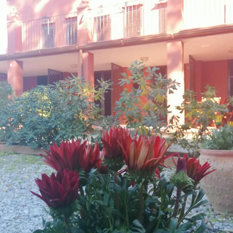 Villa Magarà - Appartamento con Vista Giardino - 4