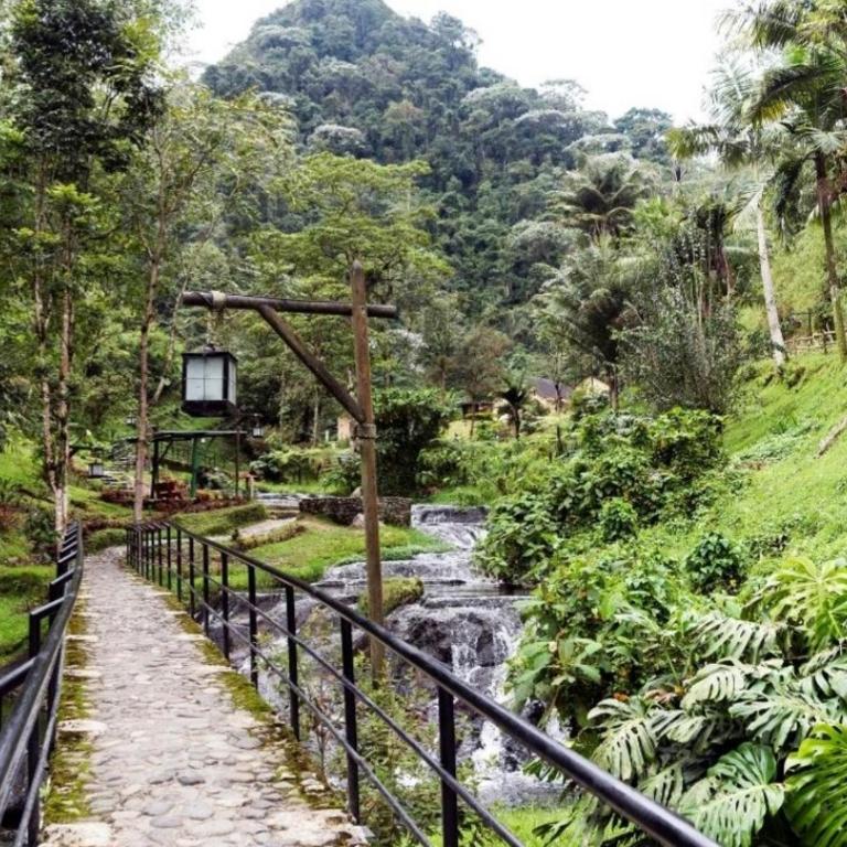 Araucarias Inn 2 - Standard Apartment - 27