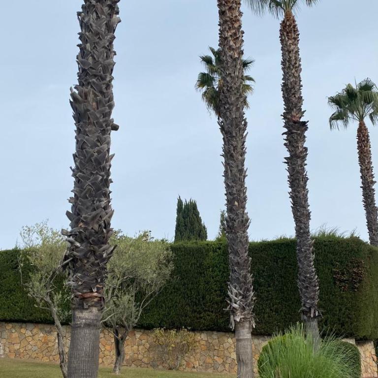 Maison Prakash - Villa avec Piscine Privée - 39