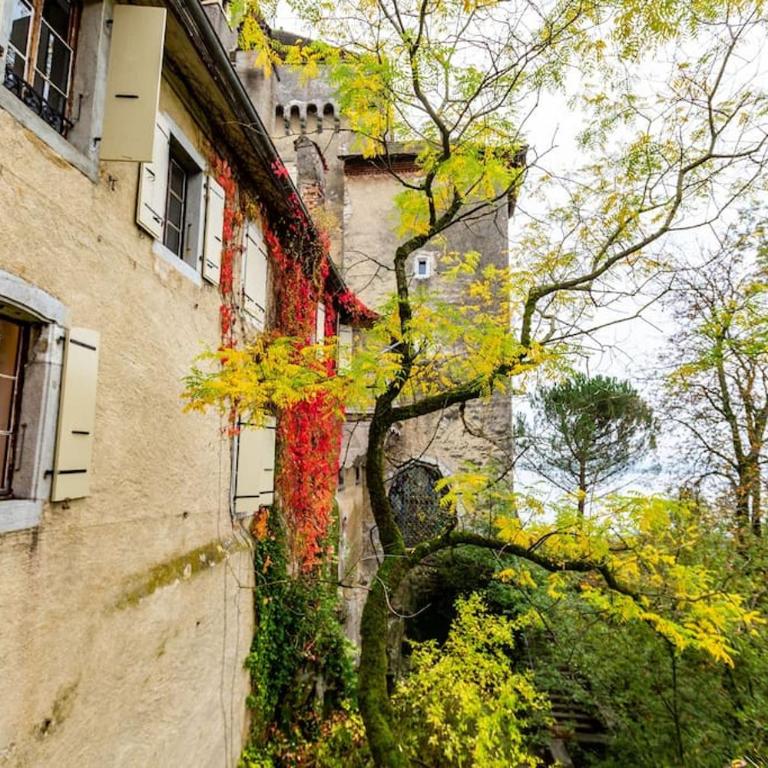 Medieval apartment Juliette - Apartment mit 1 Schlafzimmer - 21
