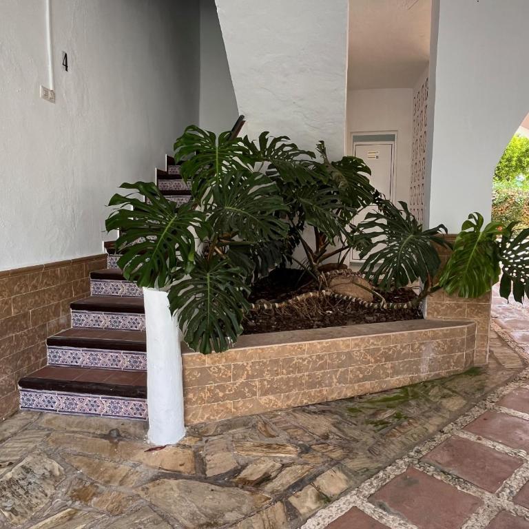 Nerja Paradise Rentals - Villa Encanto - Villa - 58
