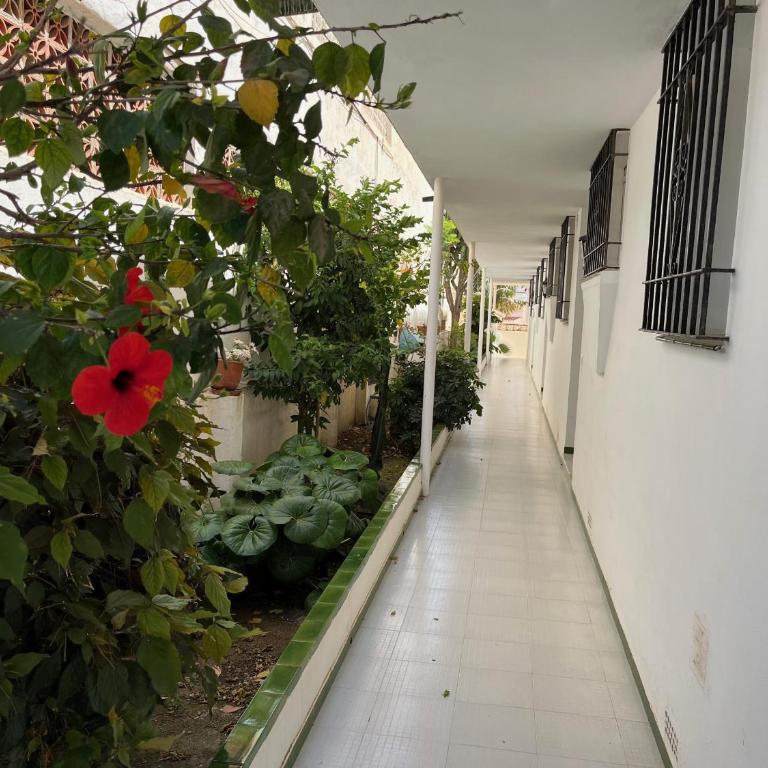 Nerja Paradise Rentals - Apartamento El Califa 3 - Apartamento - 24