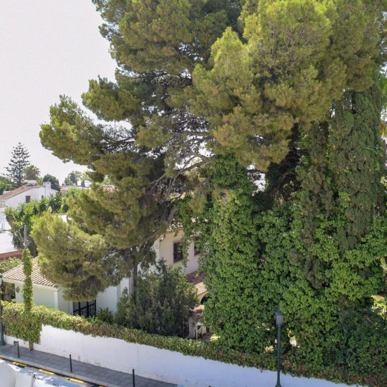 Nerja Paradise Rentals - Villa Suero - Villa - 28